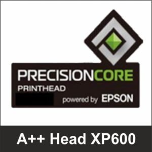 Compact Yinstar 12 inch XP600 dual head DTF printer